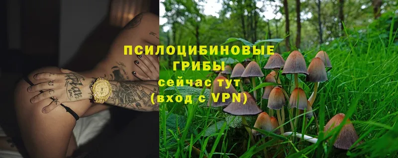 Псилоцибиновые грибы MAGIC MUSHROOMS  Кировск 